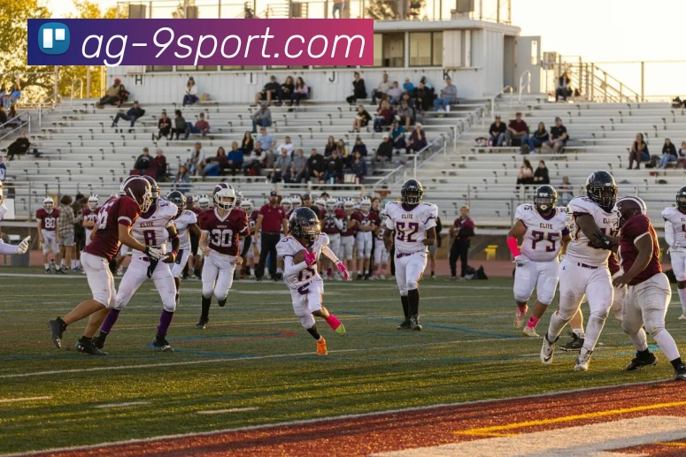 九游体育官网发展历程